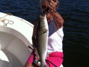 T-Time Charters, Good stripers in the sound