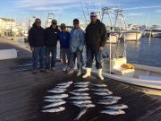 T-Time Charters, Blowing hard out of the northwest, but we went