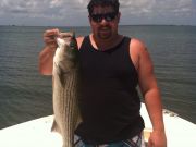 T-Time Charters, Great day of fishing aboard the T-Time! This is what we caught this afternoon !
