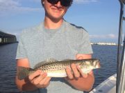 T-Time Charters, Aaryn's trout from a few weeks ago