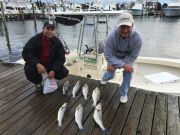 T-Time Charters, Mark and Mike's fish from a couple weeks ago