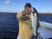 T-Time Charters, One of our stripers from this morning, also caught trout and flounder