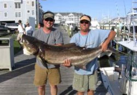 T-Time Charters, INSHORE OR NEARSHORE  FULL DAY TRIP